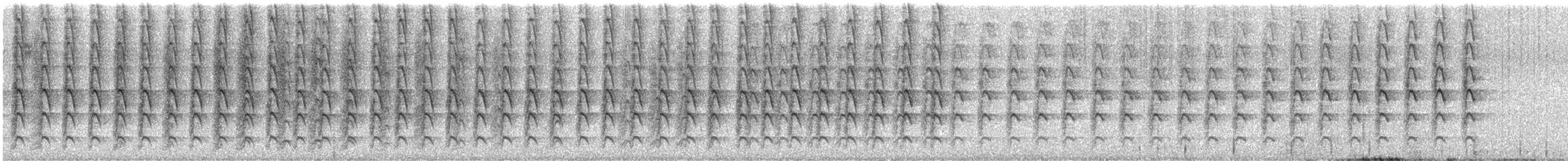 Purple-gaped Honeyeater - ML646462770