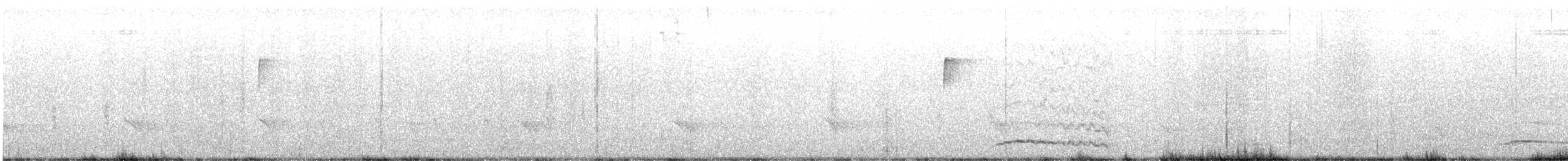 Eastern Screech-Owl - ML646462981