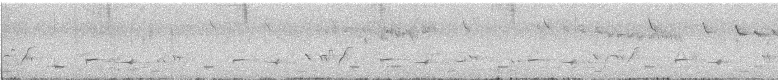 Western Whipbird (Black-throated) - ML646463019