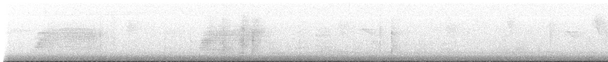 Common Squirrel-Cuckoo - ML646463404