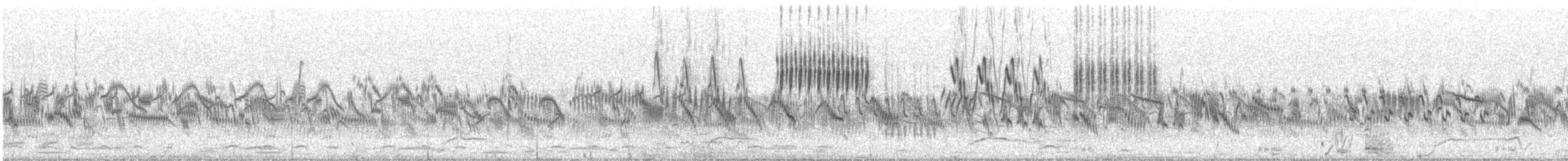 Pallas's Grasshopper Warbler - ML646463449