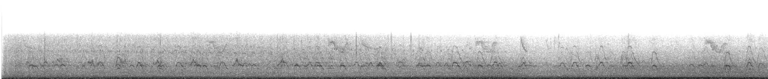 American Wigeon - ML646463641