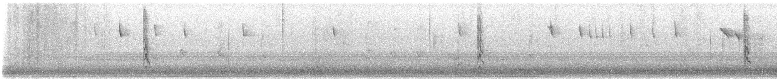 Canyon Towhee - ML646463664