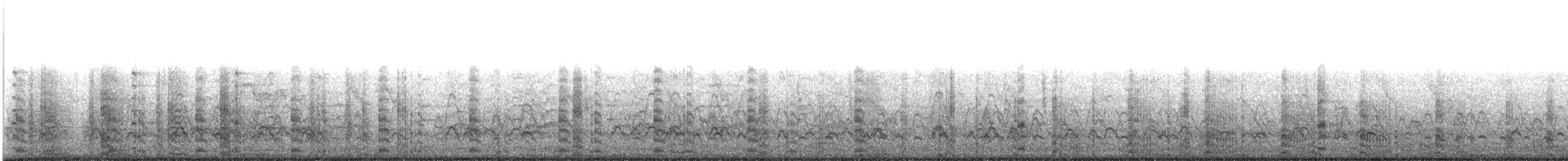 American Coot - ML646463678