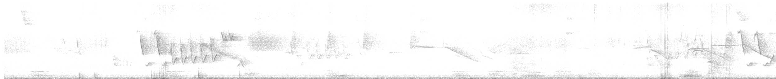 Southern House Wren (North Andean) - ML646463690