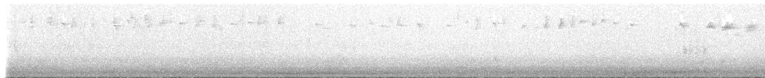 מלכילון האורנים - ML646463699