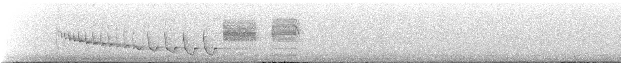 Canyon Wren - ML646463820