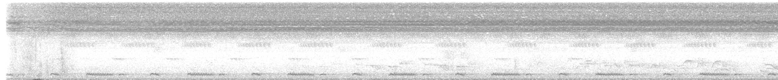 Ring-necked Dove - ML646464415