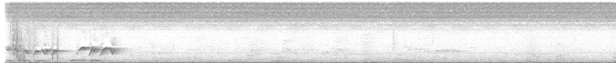 Африканская райская мухоловка - ML646464436