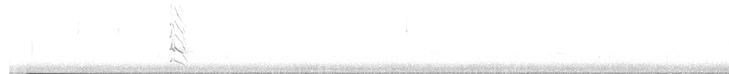 ミナミハシボソキツツキ - ML646464527