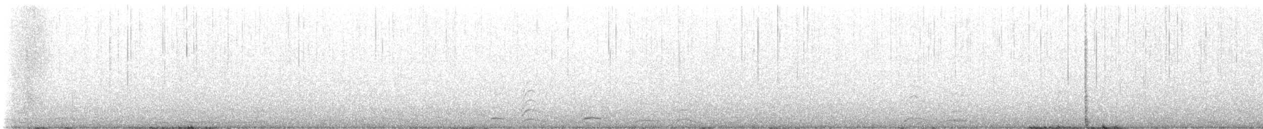 Американский лебедь - ML646464727