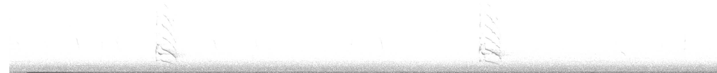 Шилоклювый дятел [группа cafer] - ML646464957