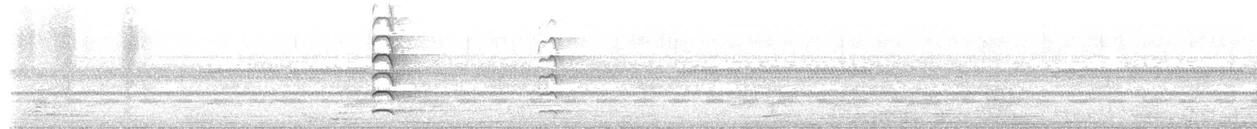 Черноватая сова - ML646465161