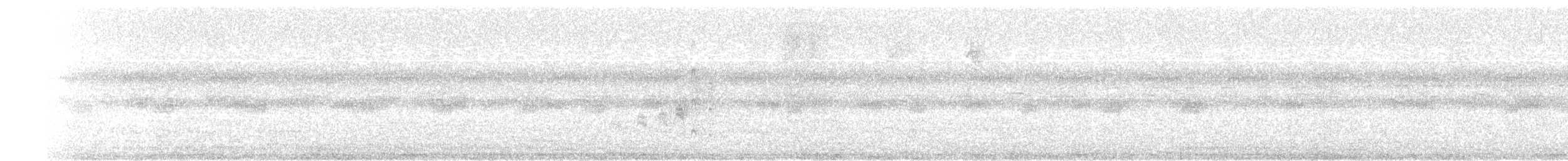 Mouse-colored Tyrannulet - ML646465533