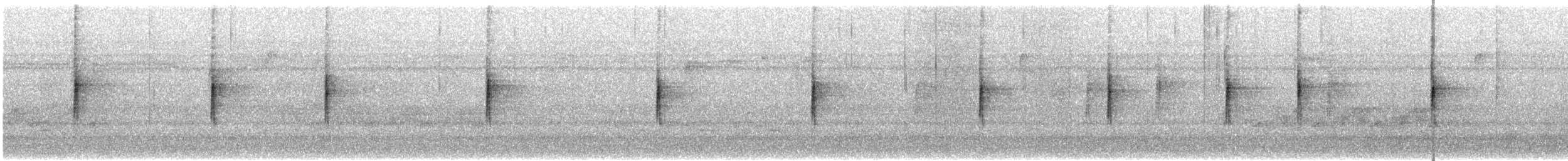 Yellow-rumped Warbler - ML646466633