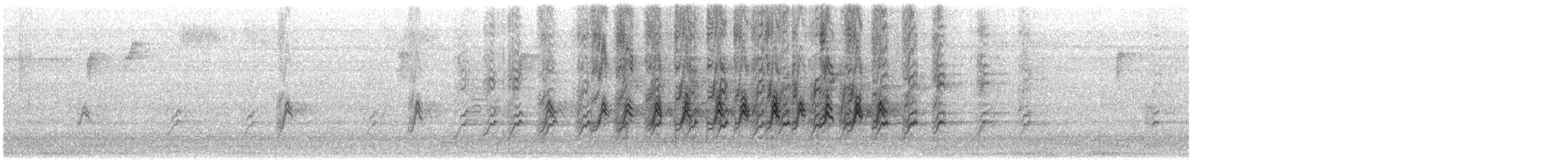 Мексиканская чечевица - ML646466706