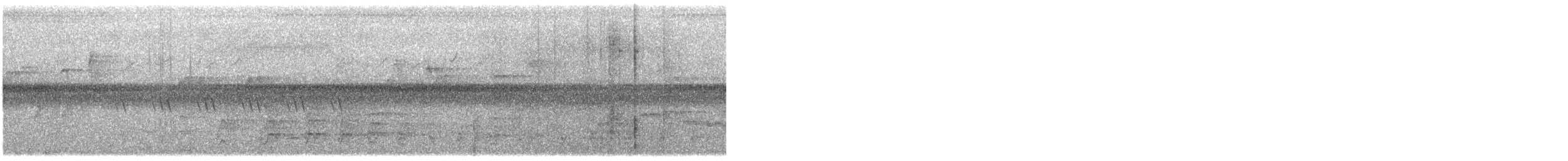 Oriental Pied-Hornbill - ML646466762