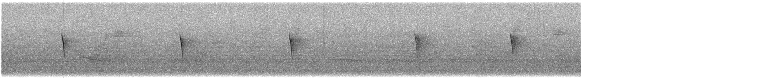 Eastern Phoebe - ML646466797