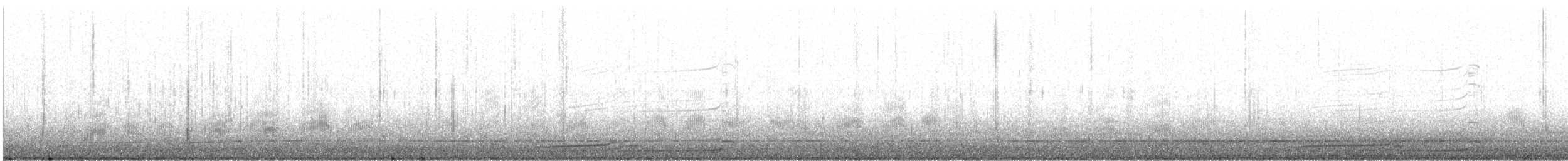 Pacific Loon - ML646466909