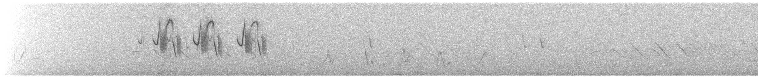 Band-tailed Sierra Finch - ML646466944