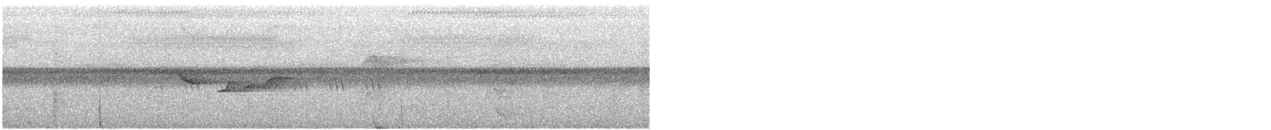 Gray-headed Canary-Flycatcher - ML646467183