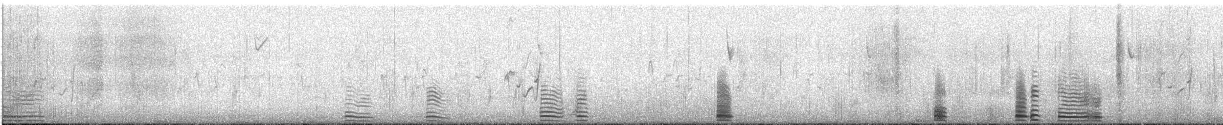 Trumpeter Swan - ML646467572