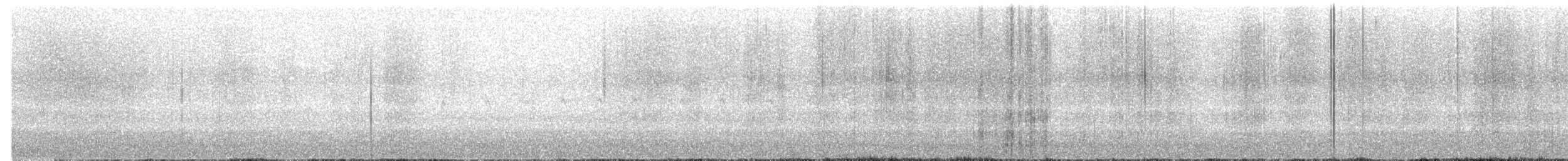 Weißbrustkleiber [lagunae-Gruppe] - ML646467735