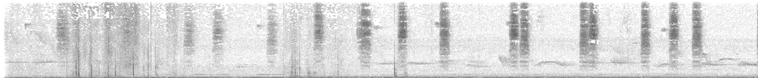 Southern House Wren - ML646468021