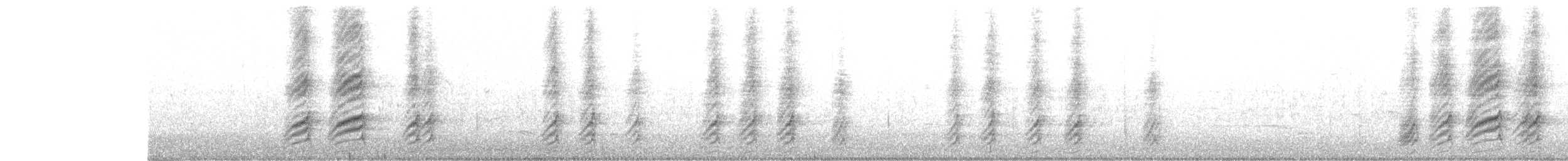 Black-billed Magpie - ML646468086