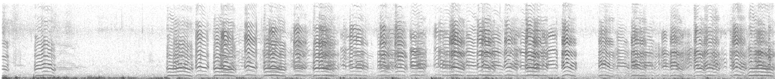 Black Skimmer - ML646468233