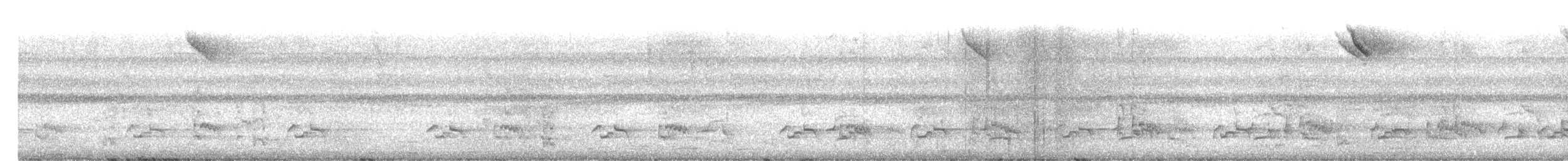 Black Nunbird - ML646469194