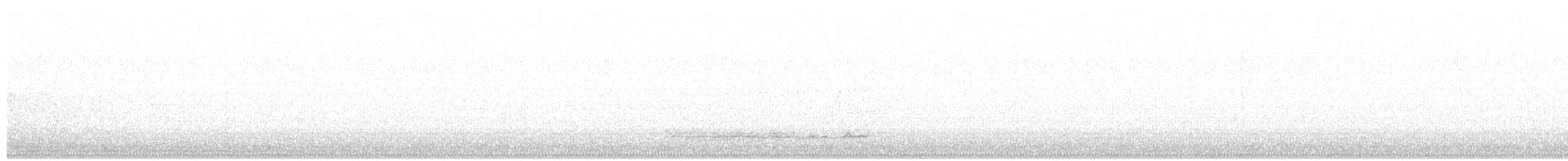 Western Barn Owl - ML646470929