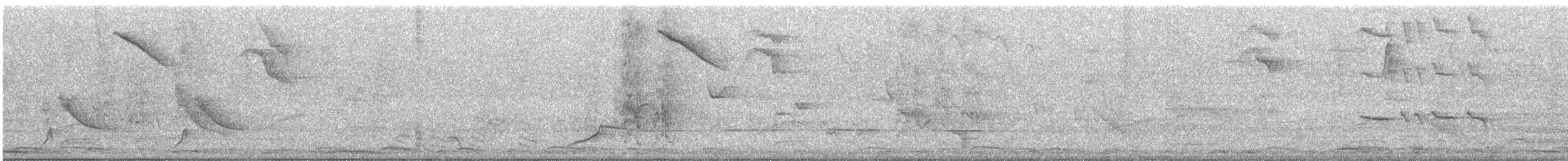 Зенаїда білокрила - ML646471634