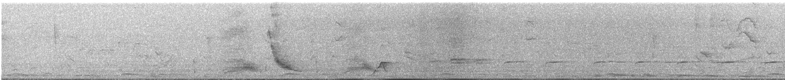 Зенаїда білокрила - ML646471637