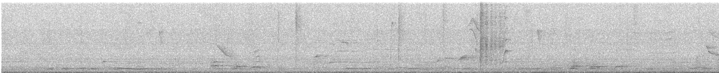 Зенаїда білокрила - ML646471640