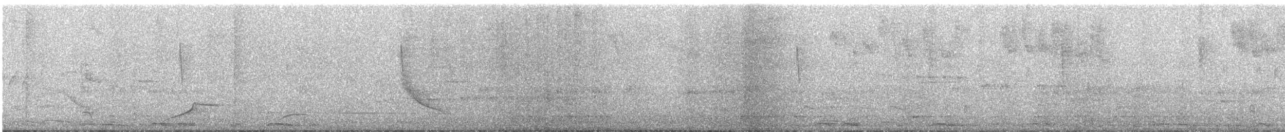 Зенаїда білокрила - ML646471641