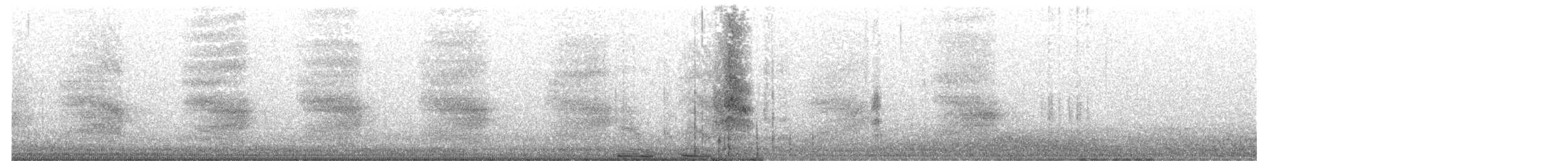 sojka Stellerova - ML646471946