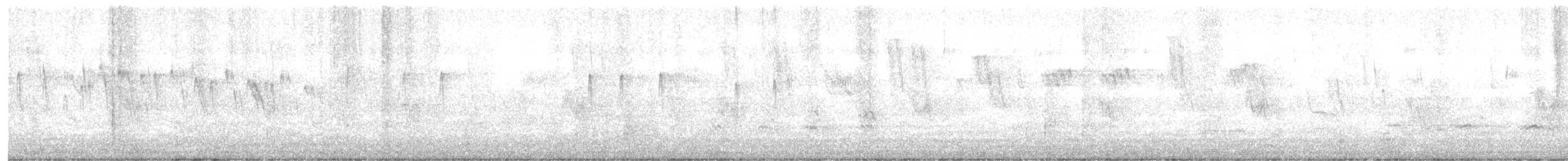 Sicksegler - ML646472065