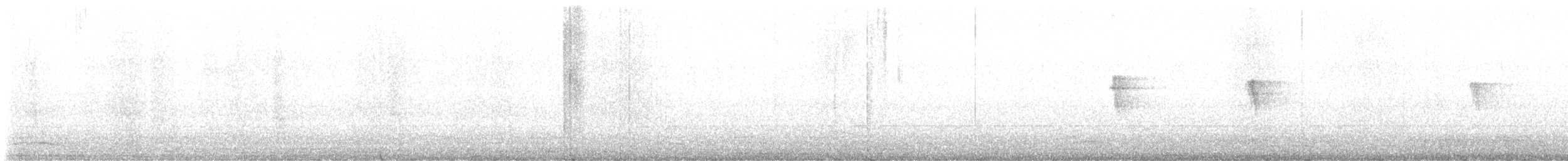 Чёрный фиби - ML646472318