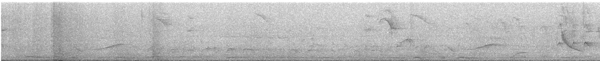 kukačka veverčí - ML646472433