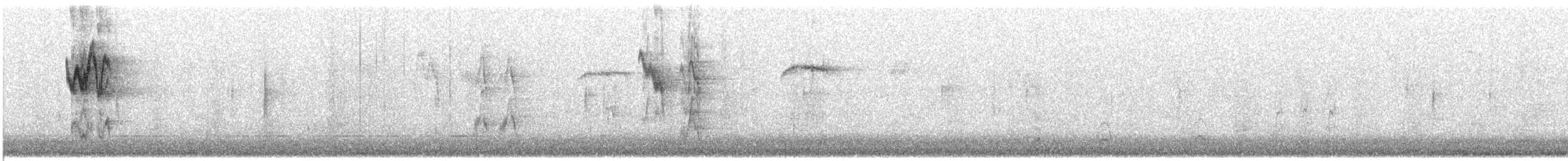 American Robin - ML646472455