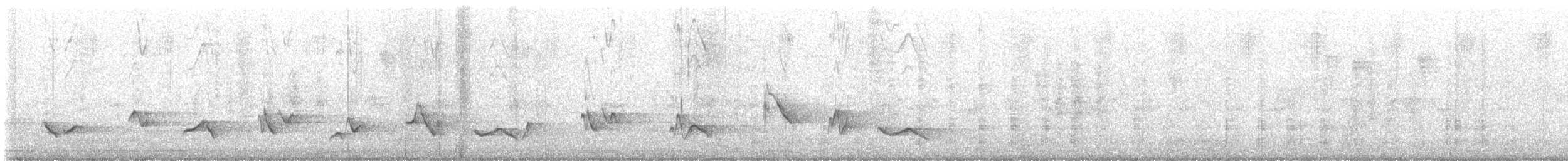 Schwarzkopf-Kernknacker - ML646472490