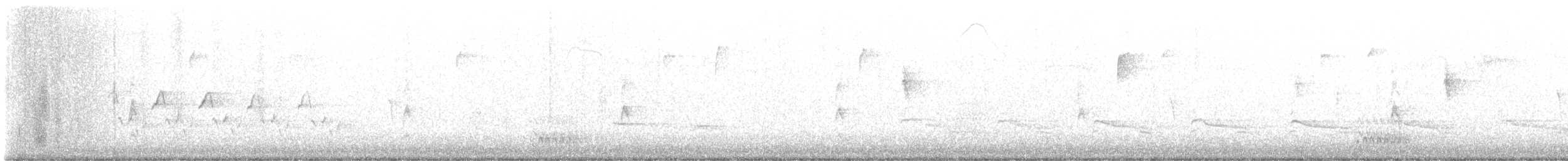 Song Sparrow - ML646472846