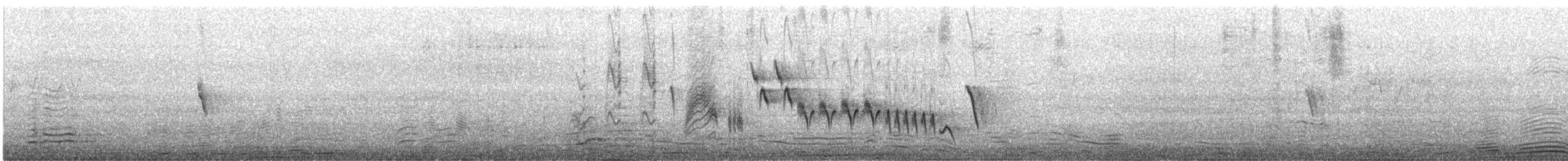 Southern House Wren - ML646473140