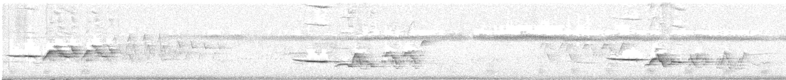 Einsiedler-Musendrossel - ML646474097