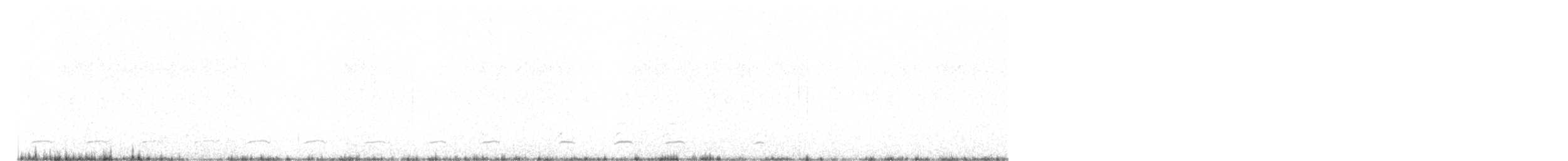 sýc americký - ML646474099