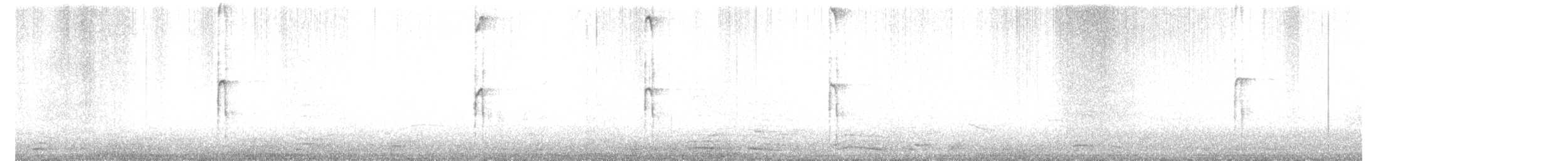 Hairy Woodpecker - ML646474140