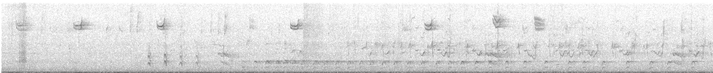 datel chocholatý - ML646474440