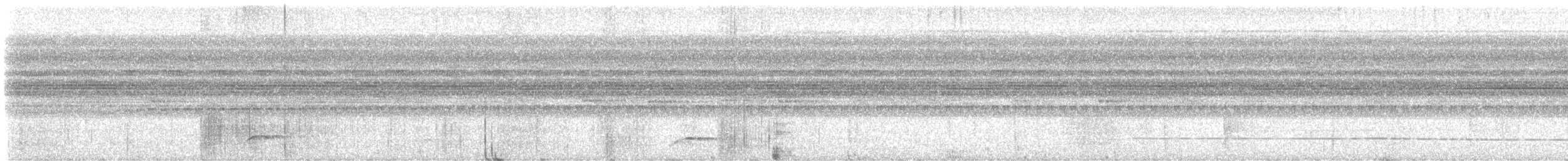 White-winged Potoo - ML646474582