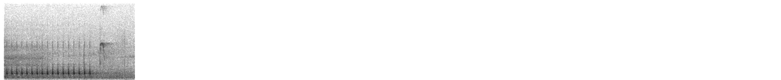 Hairy Woodpecker - ML646474900